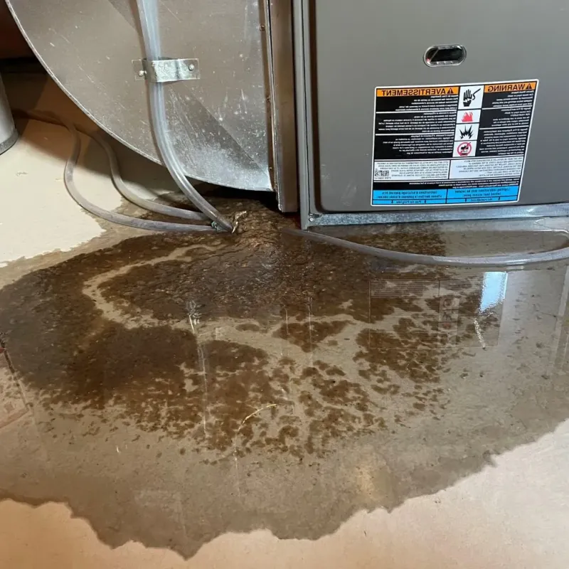 Pipe Burst and Leak Restoration in Northfield, KY